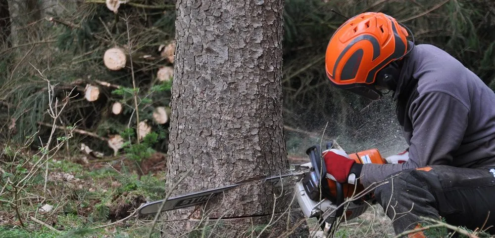 Professional landscaping services for beautiful yards in Ofallon, MO by K&S Lawn Maintenance