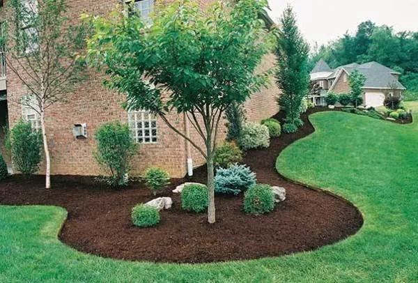 Affordable yard cleanup service for outdoor upgrades across Ofallon, MO - K&S Lawn Maintenance