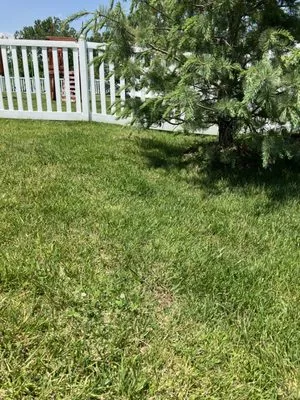 K&S Lawn Maintenance Logo