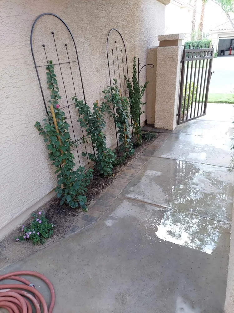 Affordable yard cleanup service for homes across Las Vegas, NV - K's Lawn Services