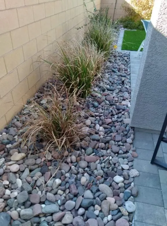 Reliable lawn care service for year-round maintenance in Las Vegas, NV by K's Lawn Services