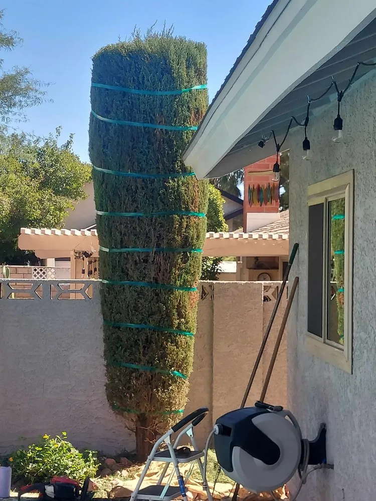 Trusted landscape installation for homes across Las Vegas, NV - K's Lawn Services