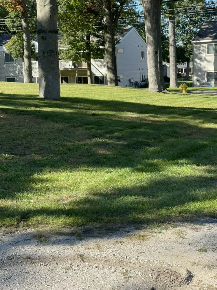 Reliable landscape design in Muskegon, MI - KS Lawn Snow Service