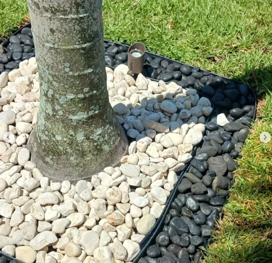 Expert garden landscaping for beautiful yards across Delray Beach, FL - Ks lawns r us