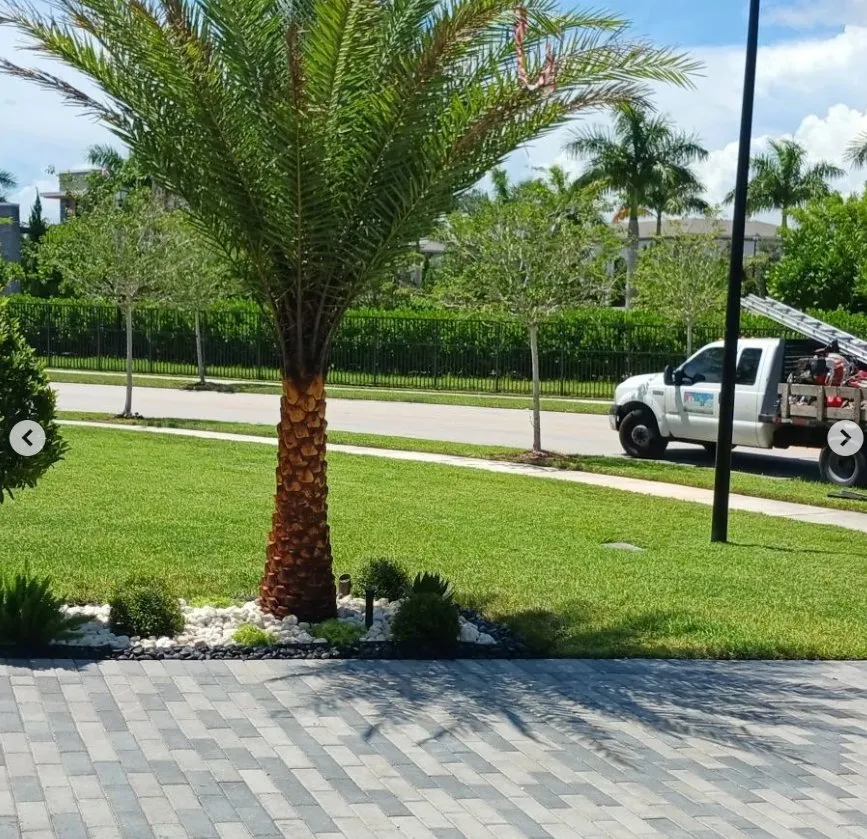 Custom landscape design with custom design in Delray Beach, FL by Ks lawns r us