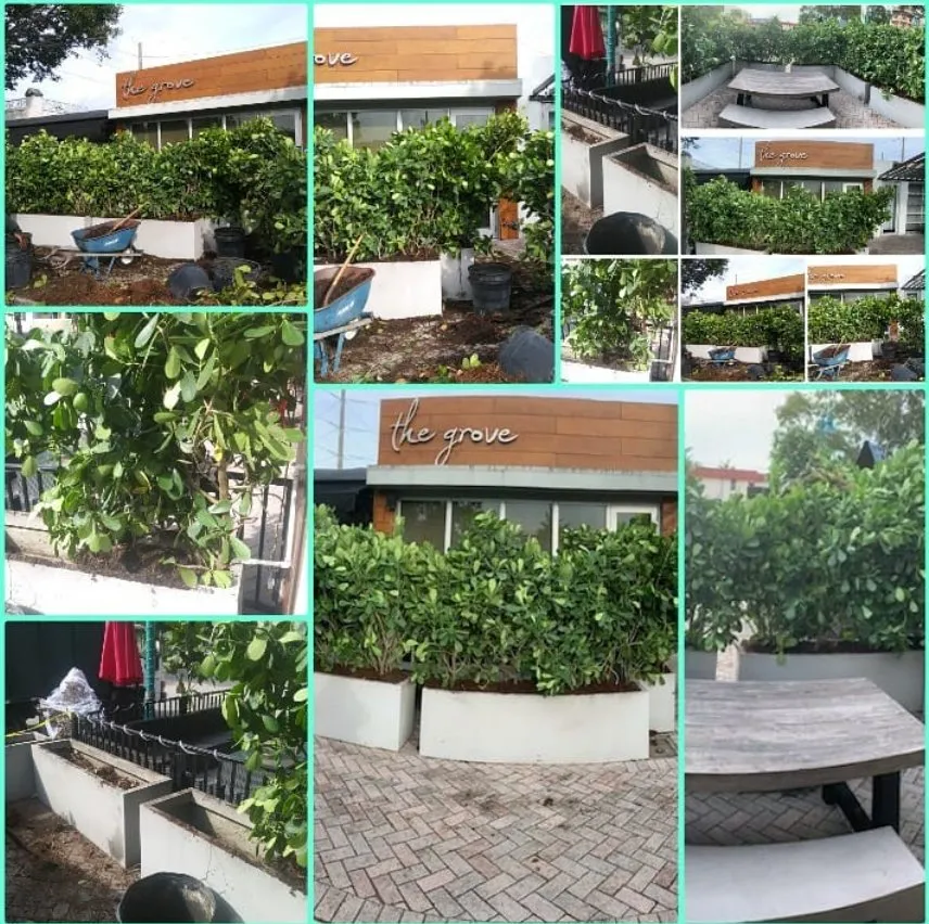 Expert yard maintenance for year-round maintenance in Delray Beach, FL by Ks lawns r us