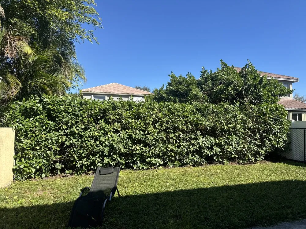 Custom landscape installation experts serving Delray Beach, FL - Ks lawns r us