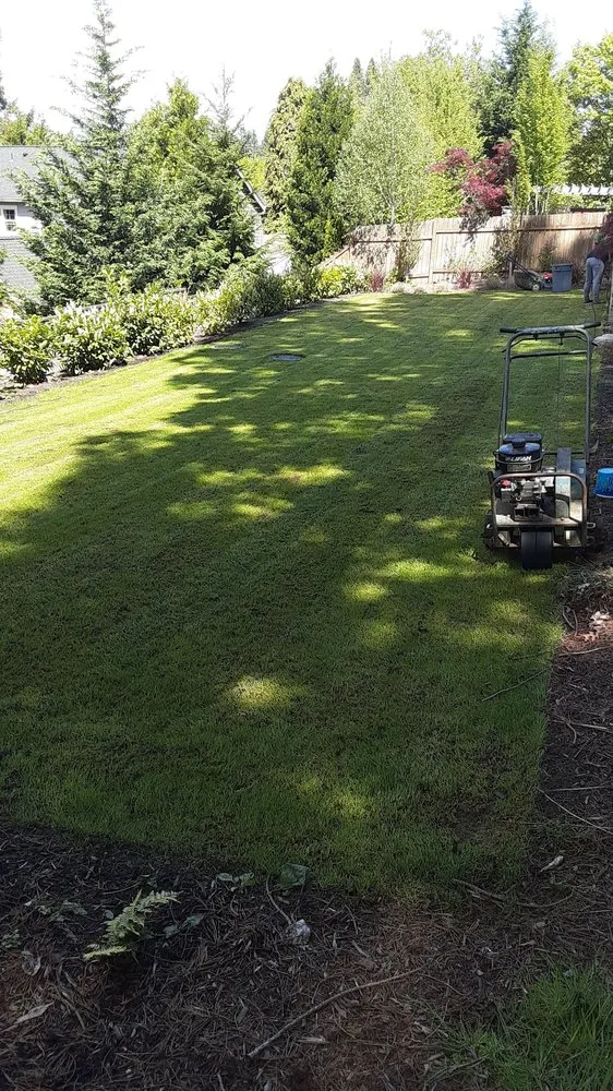 Expert lawn mowing service experts serving Tualatin, OR - Ks Painting