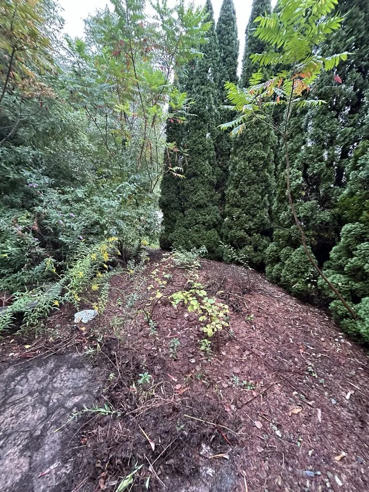 Local yard maintenance for year-round maintenance across York Haven, PA - Ks Property Services