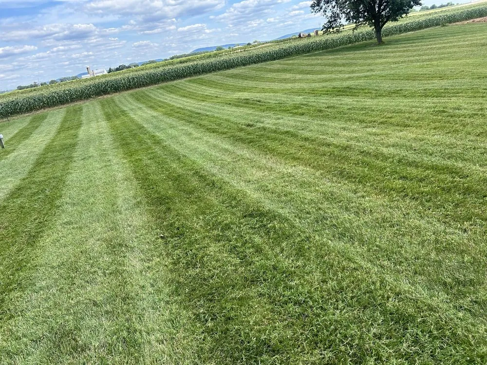 Professional residential landscaping near you across York Haven, PA - Ks Property Services