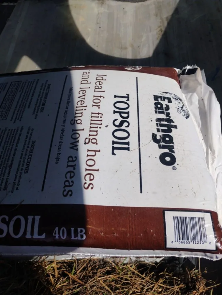 Expert lawn care service in Tampa, FL by K's Services