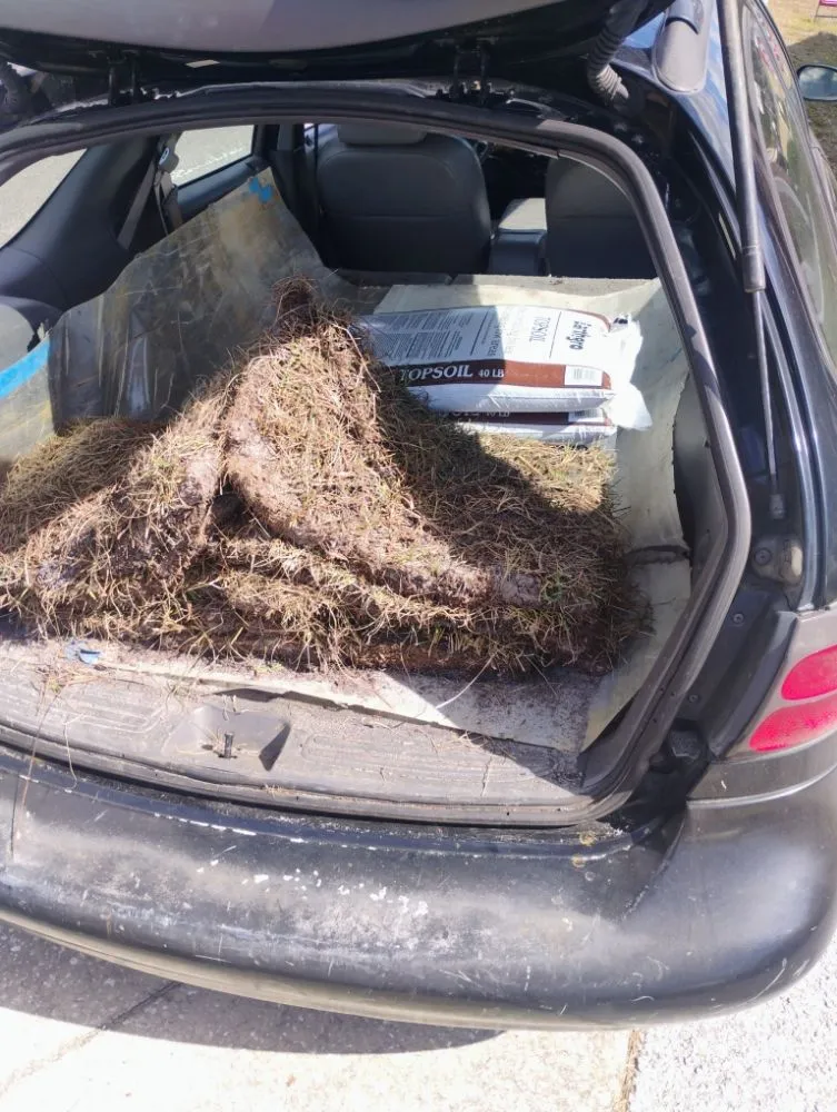 Affordable yard cleanup service in Tampa, FL by K's Services