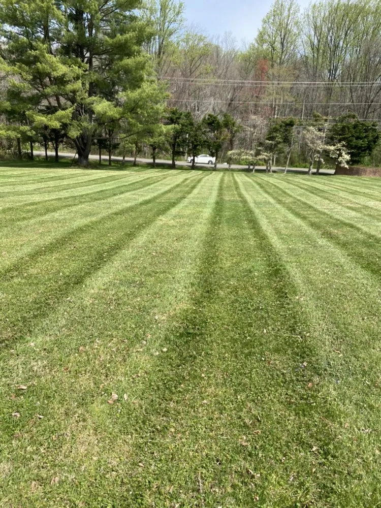 Local landscape design in Reston, VA by KSC Landscaping Services