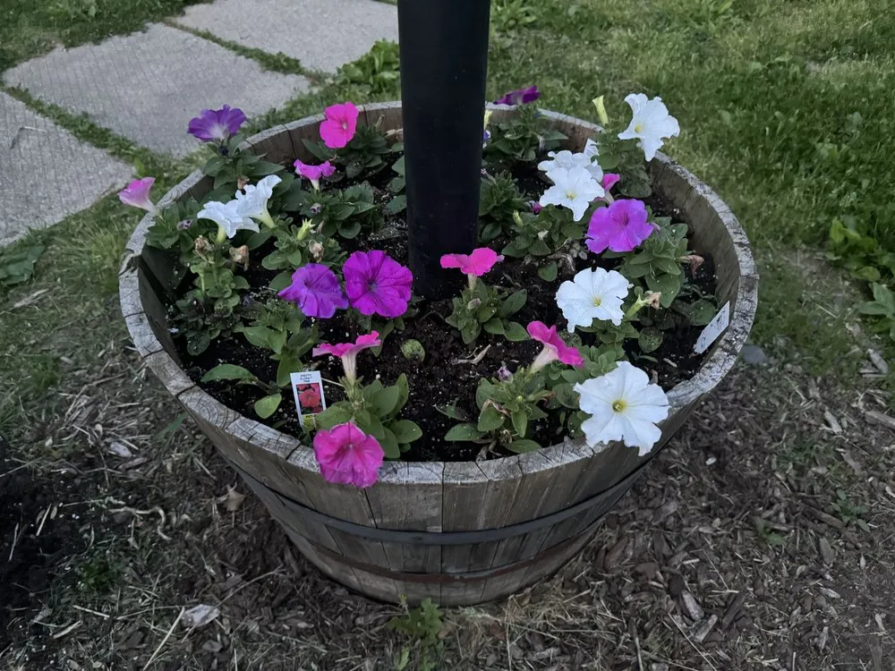 Local garden landscaping with custom design in Windsor Locks, CT by KSC Property Maintenance