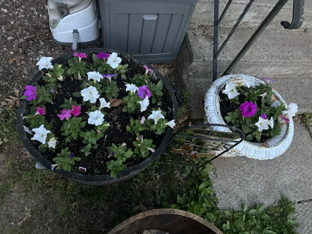 Reliable lawn care service in Windsor Locks, CT - KSC Property Maintenance