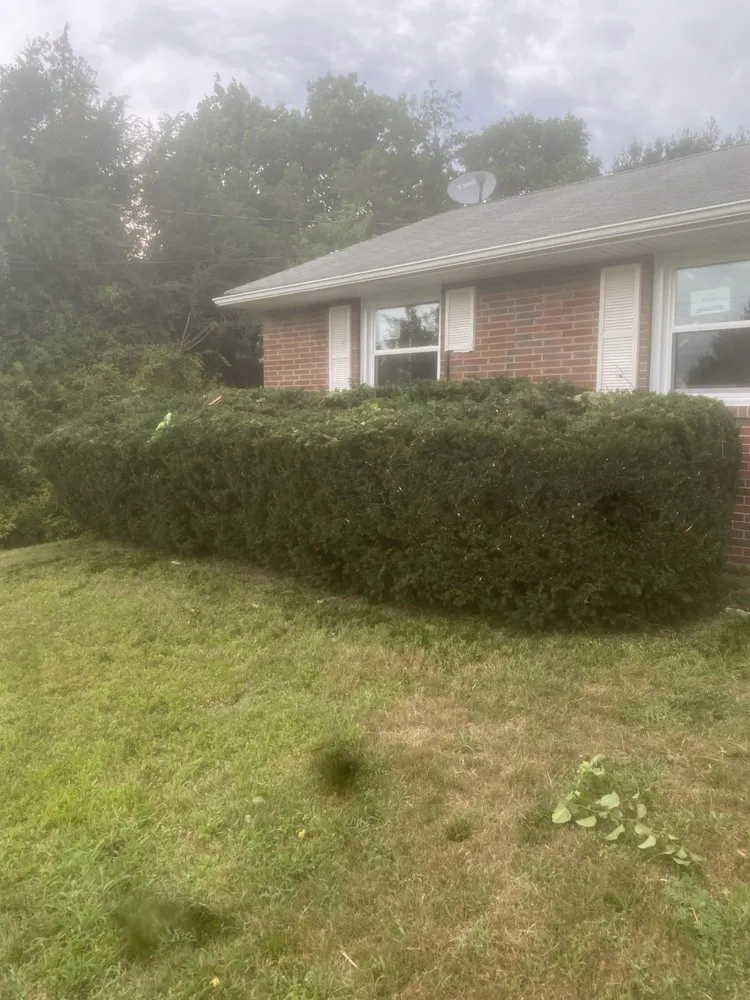 Top-rated landscaping services experts serving Turnersville, NJ - KSC Services