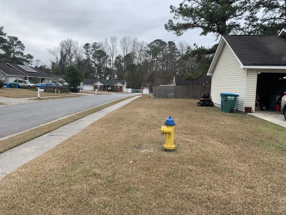 Top-rated residential landscaping experts serving Rincon, GA - KSM Southern Landscape