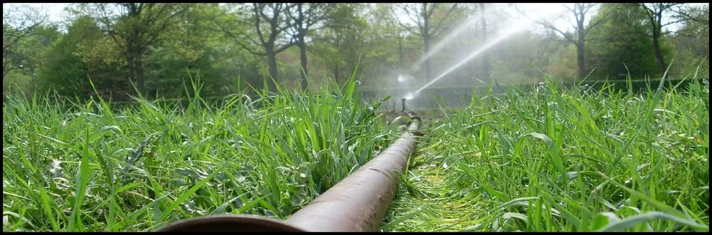 Affordable landscaping services for beautiful yards in Covington, GA by K&T ATL Landscaping