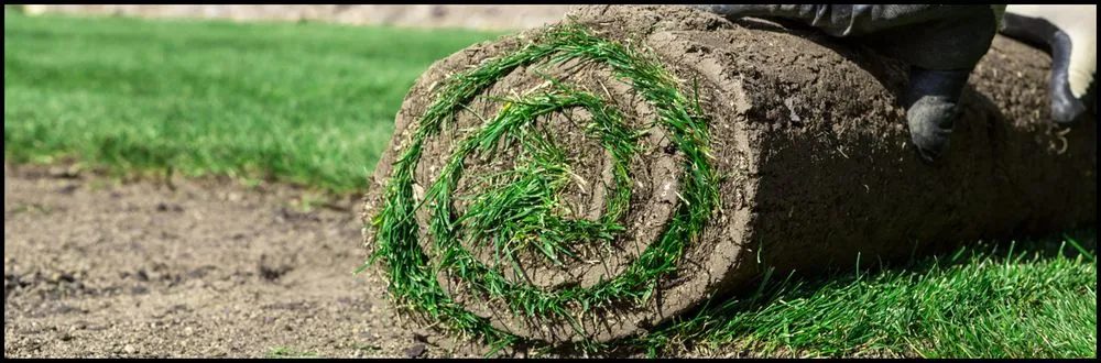 Affordable landscaping services with custom design in Covington, GA by K&T ATL Landscaping