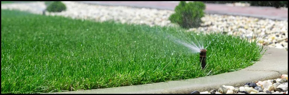 Affordable yard maintenance experts serving Covington, GA - K&T ATL Landscaping