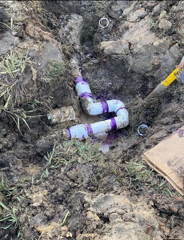 Professional garden landscaping in Frisco, TX by KT Landscape Management