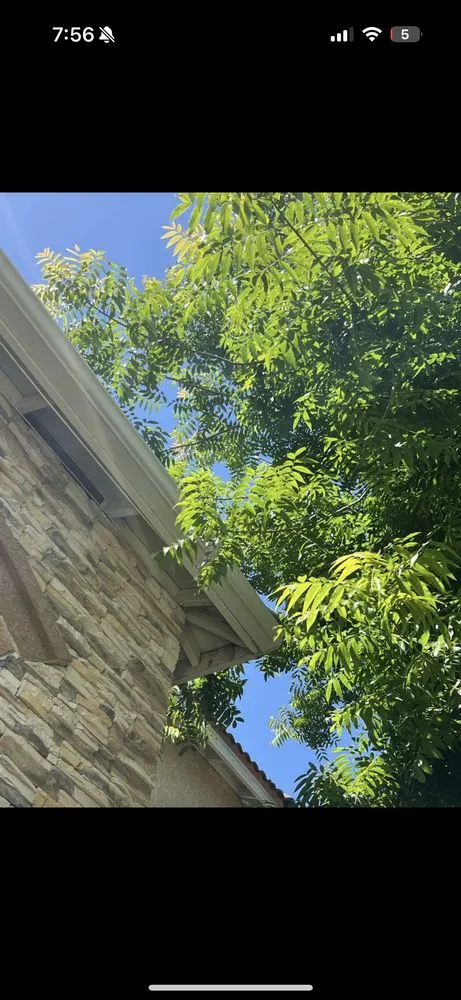 Custom garden landscaping in Fresno, CA by KT Landscaping