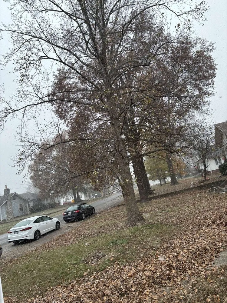 Professional landscape installation experts serving Herrin, IL - K&T landscaping