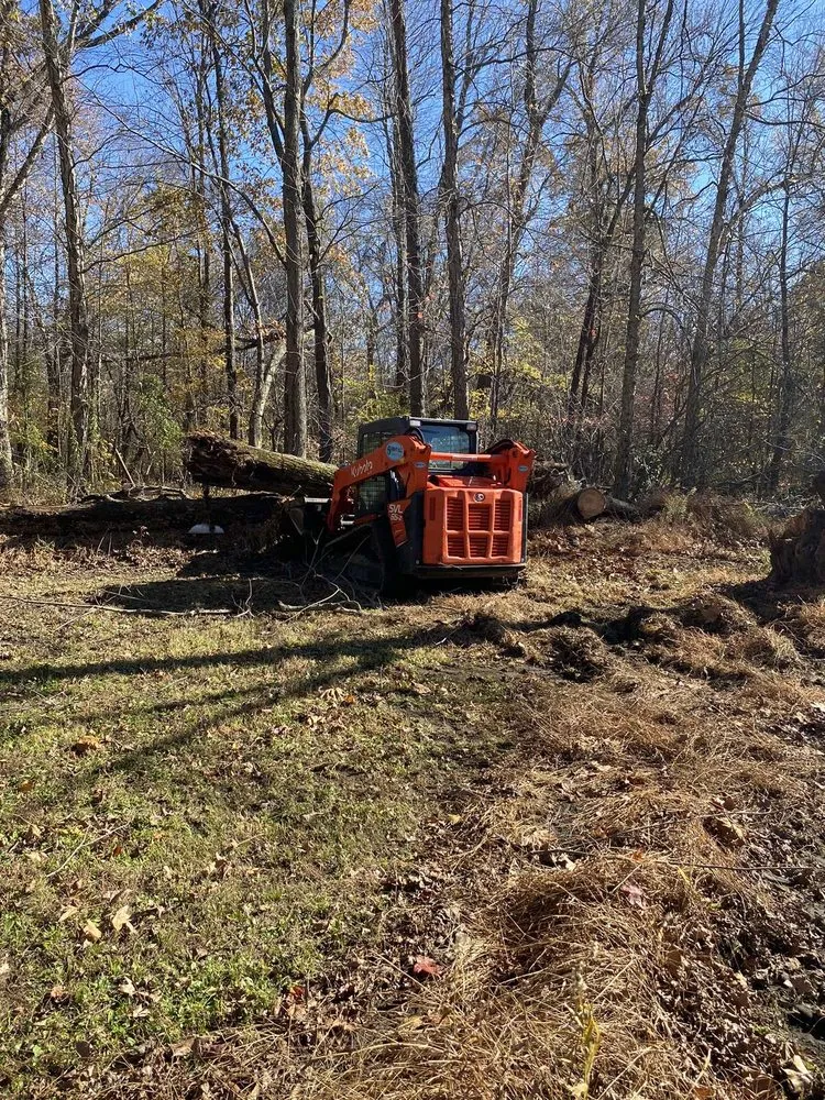 Top-rated landscaping services in Herrin, IL - K&T landscaping