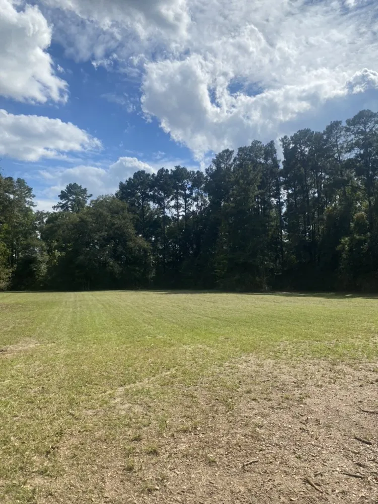 Local landscape installation for year-round maintenance in Vernon, FL by K&T Landscaping