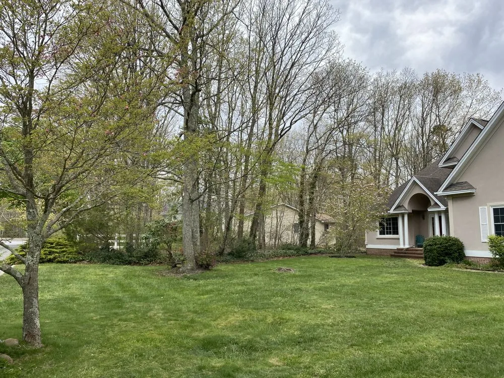 Custom yard cleanup service with custom design in Waretown, NJ by KT Lawn and Landscaping Solutions