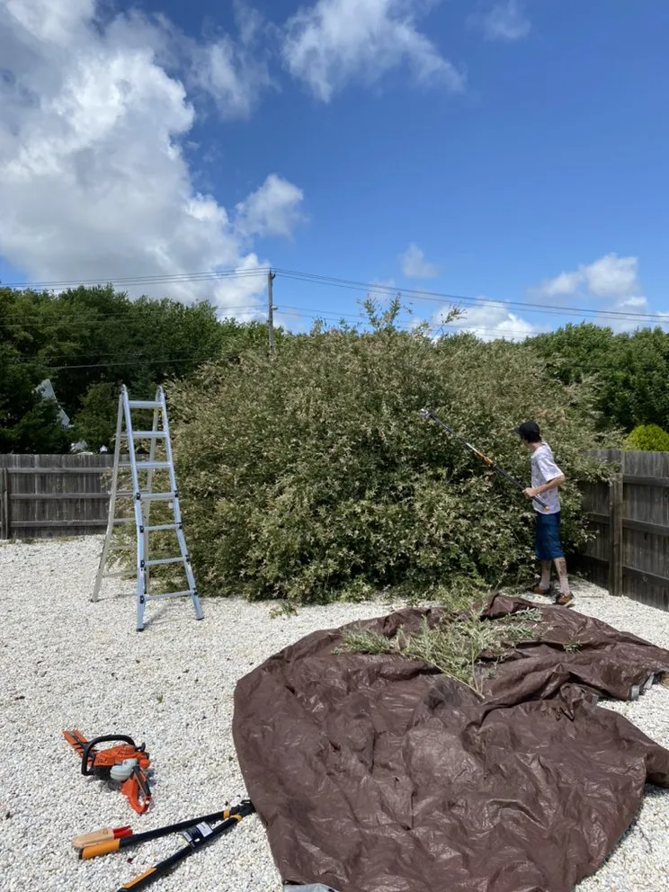 Affordable landscape installation in Waretown, NJ by KT Lawn and Landscaping Solutions