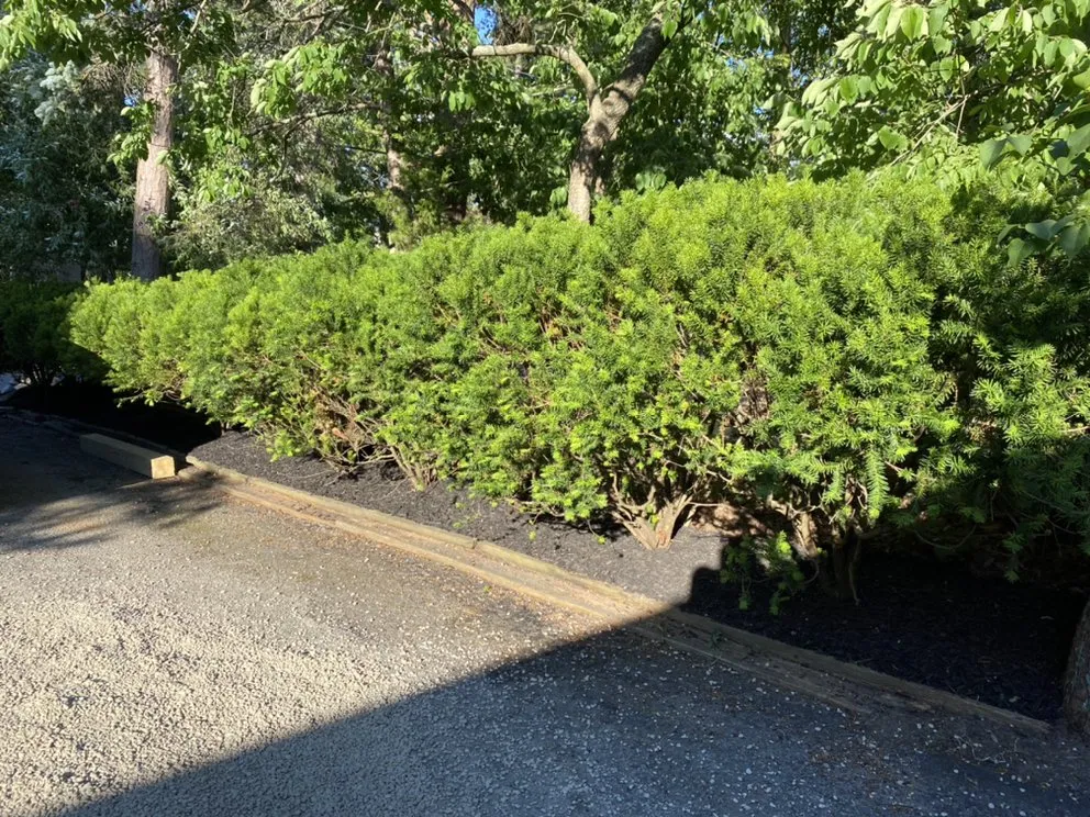 Custom residential landscaping for residential properties in Waretown, NJ by KT Lawn and Landscaping Solutions