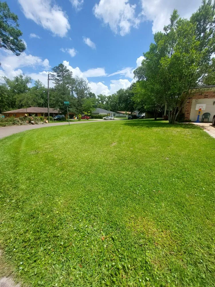 Reliable lawn mowing service in Jacksonville Beach, FL - K&T Lawn and More Services