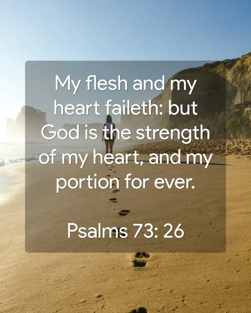 Expert yard cleanup service in Warrenton, MO by KT Property Maintenance