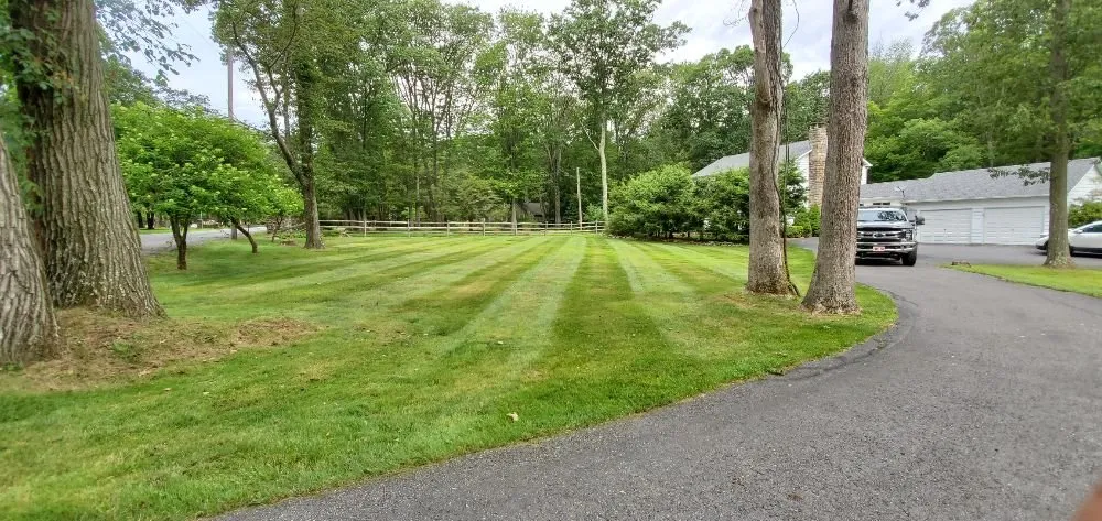 Professional landscape design near you in Pocono Summit, PA by KTD Lawn Care