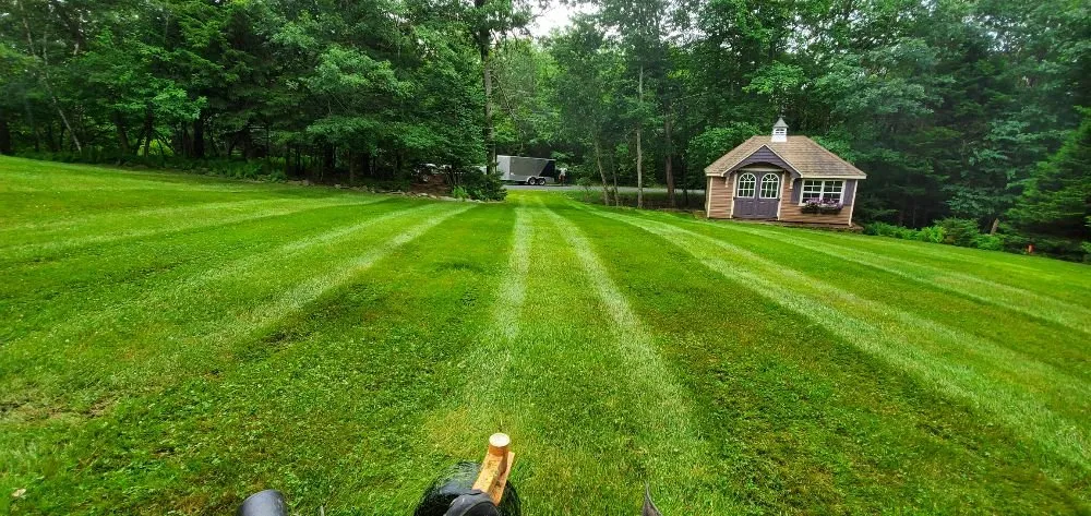 Expert yard cleanup service in Pocono Summit, PA by KTD Lawn Care
