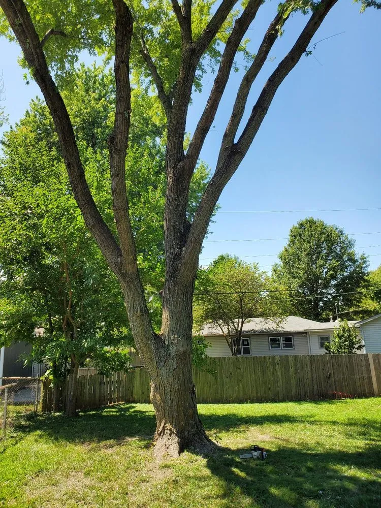 Custom residential landscaping near you across El Dorado, KS - KTE Services