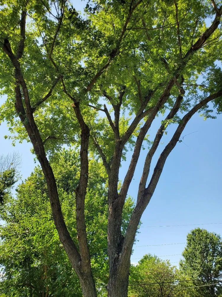 Expert landscape design for year-round maintenance across El Dorado, KS - KTE Services