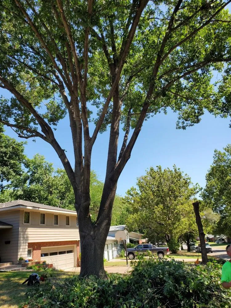 Professional yard cleanup service for outdoor upgrades across El Dorado, KS - KTE Services