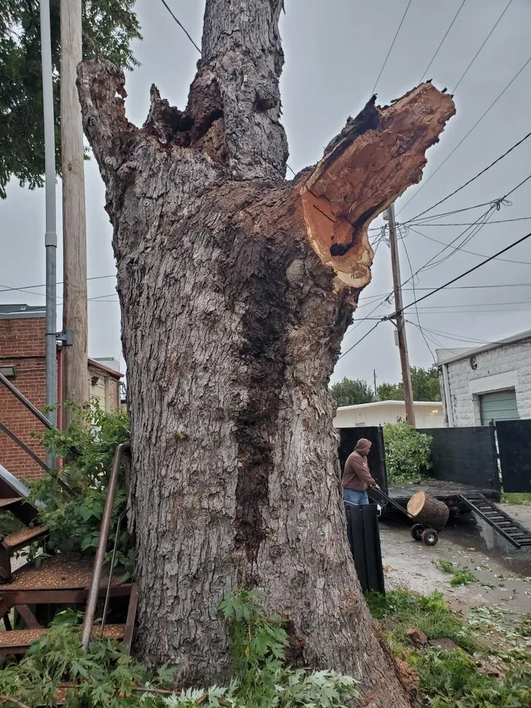 Reliable residential landscaping for residential properties across El Dorado, KS - KTE Services