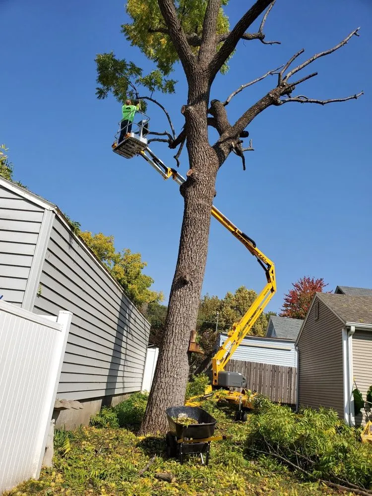 Trusted landscape design in El Dorado, KS by KTE Services