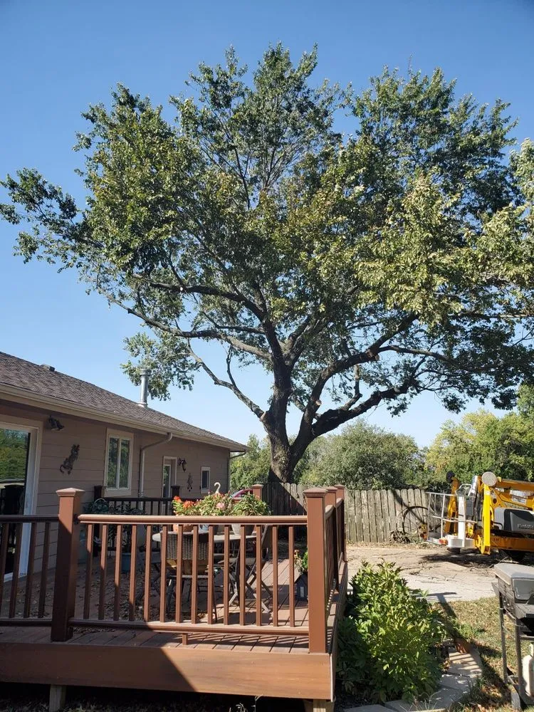 Affordable landscaping services in El Dorado, KS by KTE Services