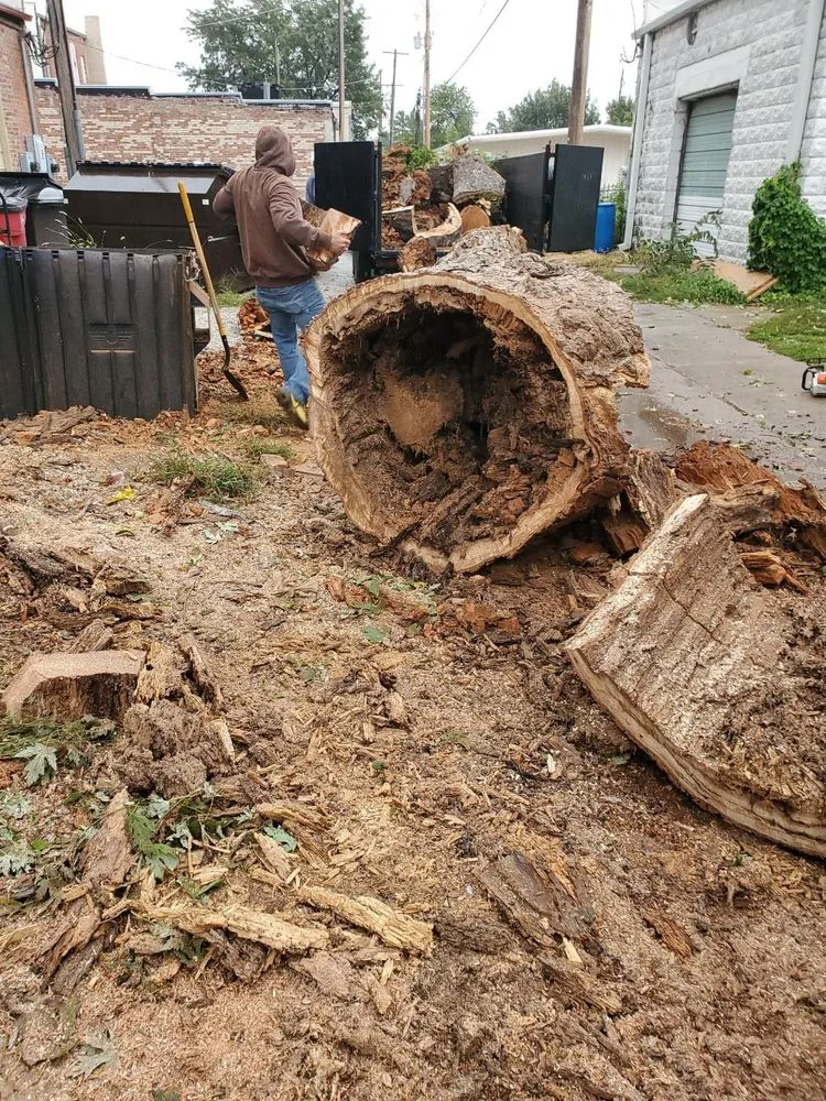 Trusted yard cleanup service for year-round maintenance across El Dorado, KS - KTE Services