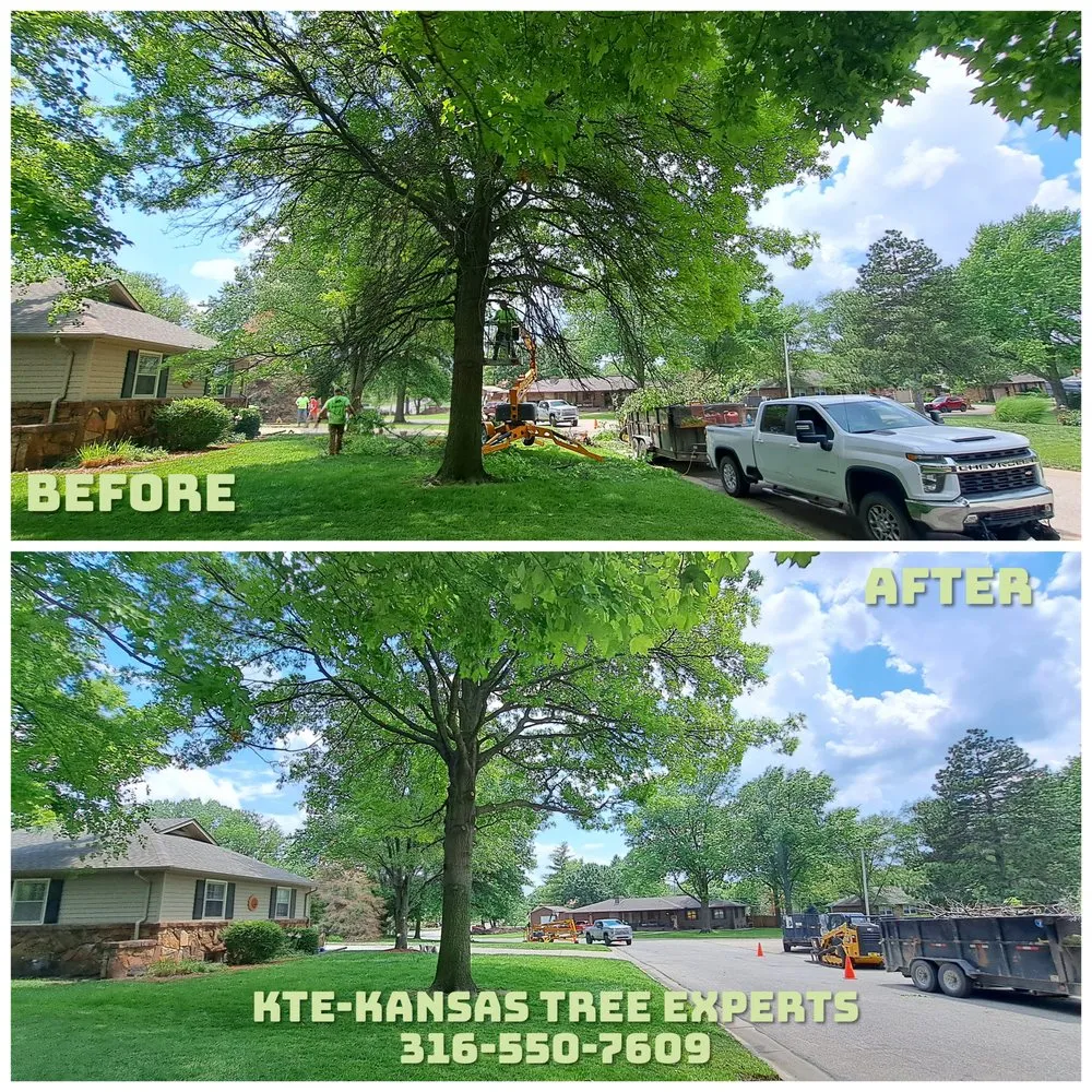 Professional outdoor landscaping in El Dorado, KS - KTE Services