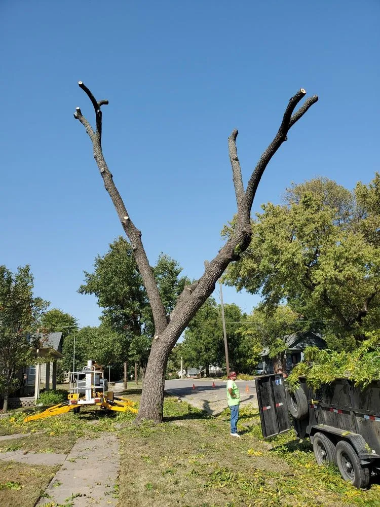 Local landscape design near you in El Dorado, KS by KTE Services