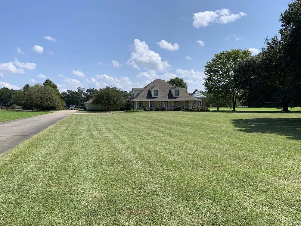 Affordable yard maintenance for year-round maintenance in Baton Rouge, LA by KTG Lawn Services