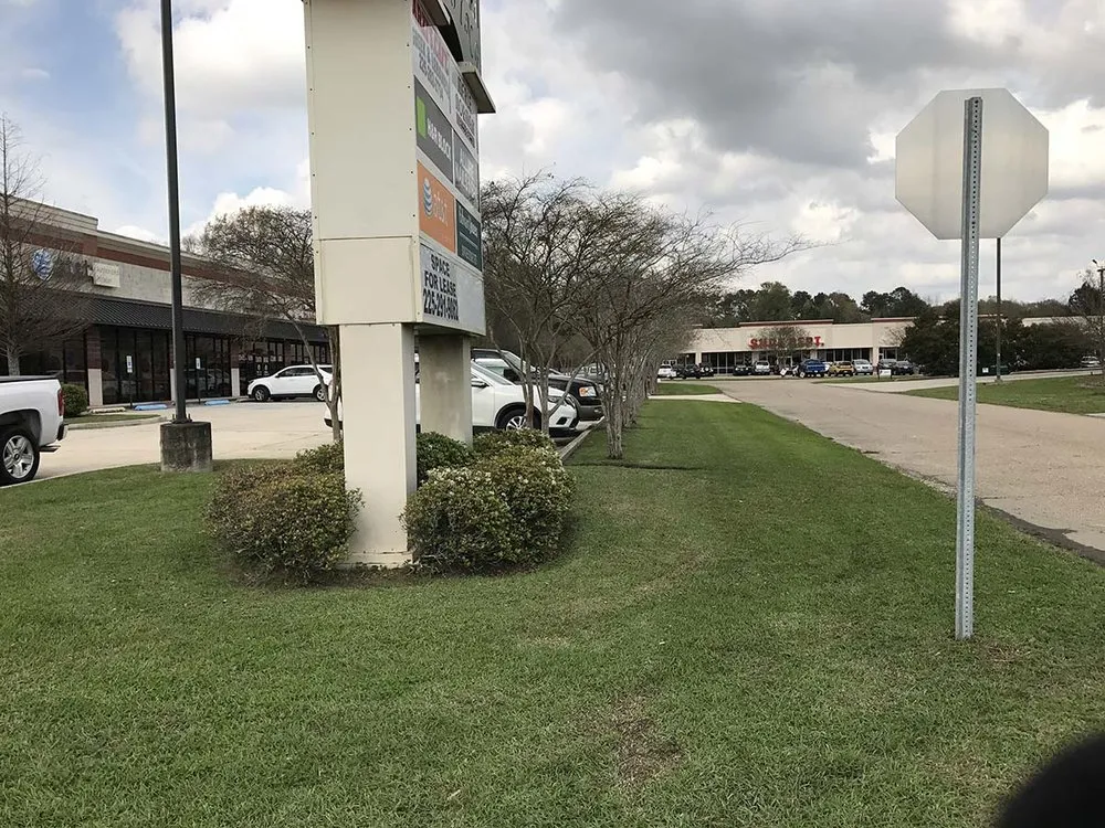 Professional yard cleanup service for year-round maintenance in Baton Rouge, LA by KTG Lawn Services