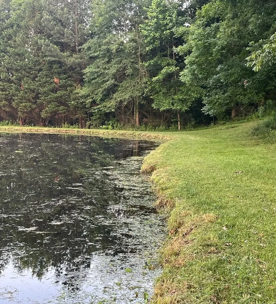 Affordable lawn care service experts serving LaGrange, GA - KTN Mowing