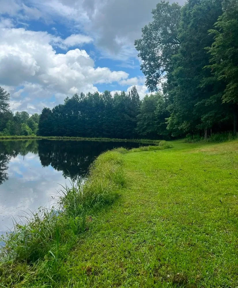 Trusted yard maintenance experts serving LaGrange, GA - KTN Mowing