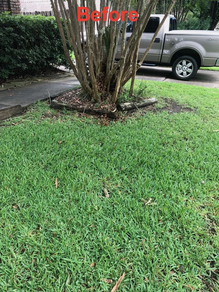 Affordable lawn mowing service for year-round maintenance across Kemah, TX - KTS Landscape & Irrigation